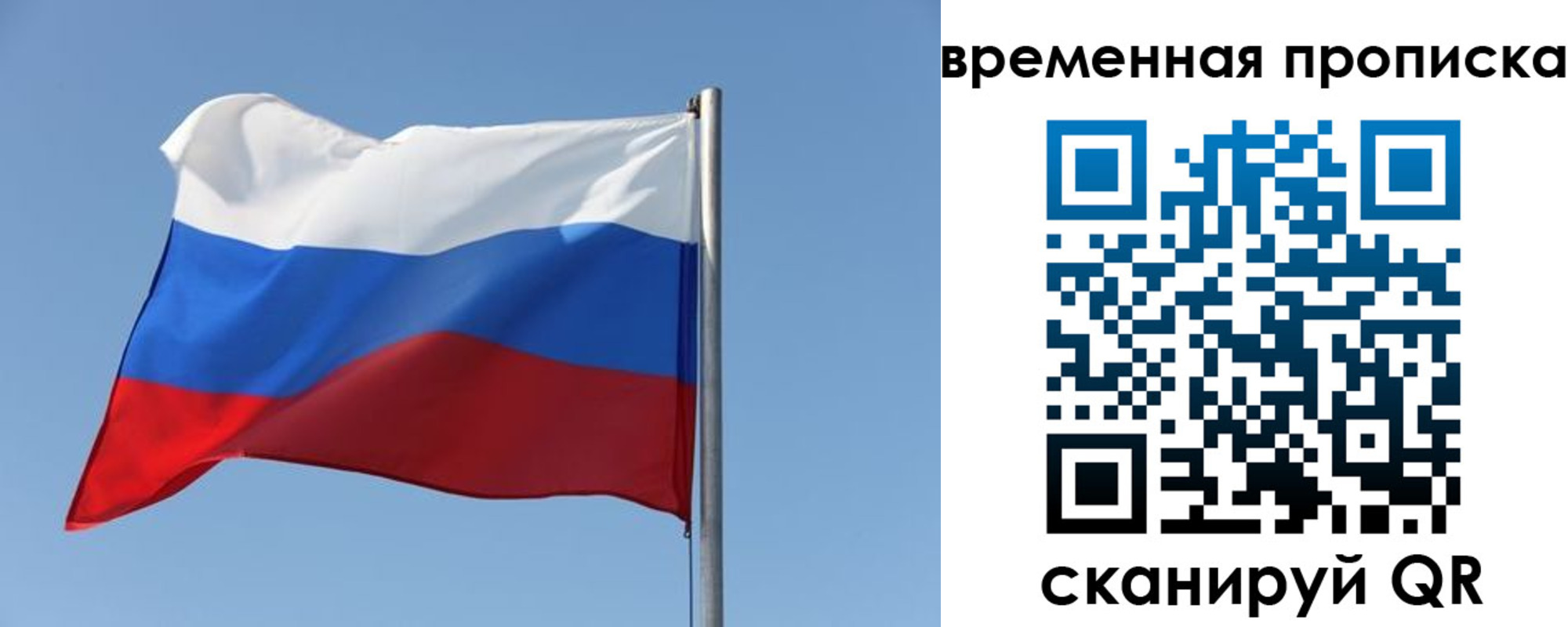 где прописаться в Ленинградской области