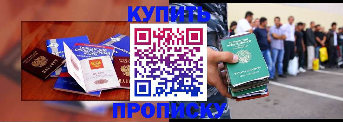 прописка для школы в Ленинградской области